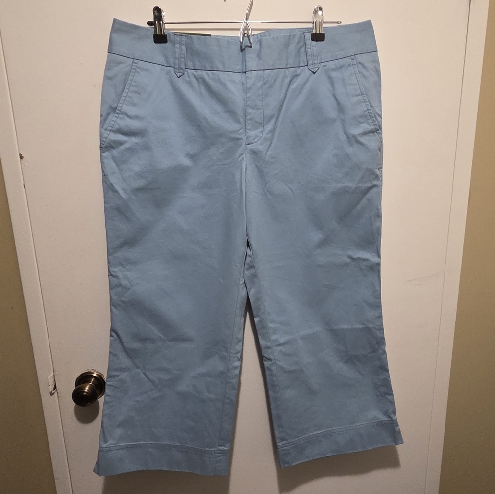 Eddie Bauer Mercer Fit Chino Pants NWT Sz 14 Petite 14P Straight Leg Light Blue